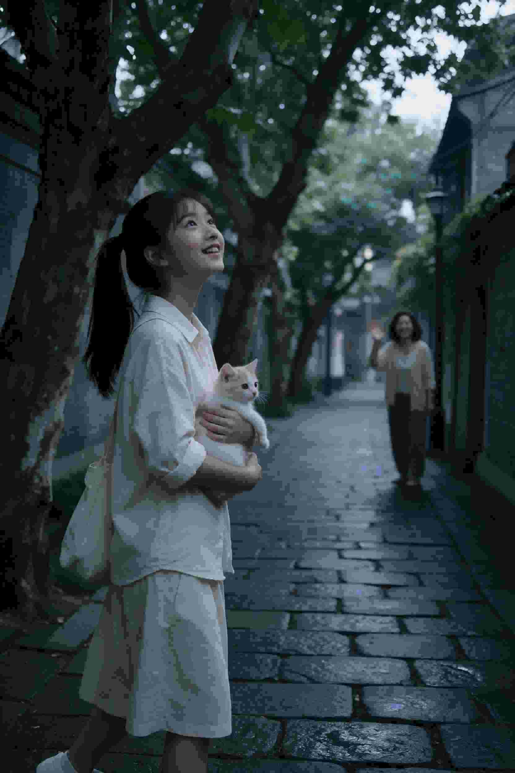 日常碎语